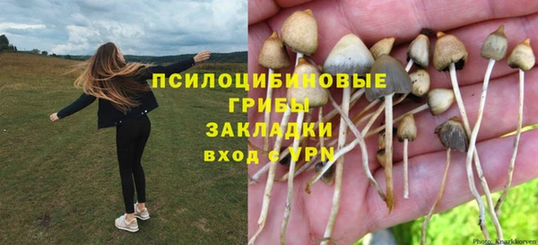 соль ск Аркадак