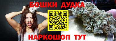 индика Гусь-Хрустальный