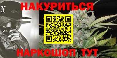 индика Гусь-Хрустальный