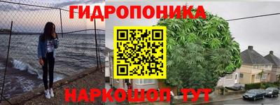 твердый Гусев