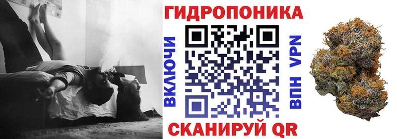где продают наркотики  даркнет телеграм  Каннабис Amnesia  Пушкино 