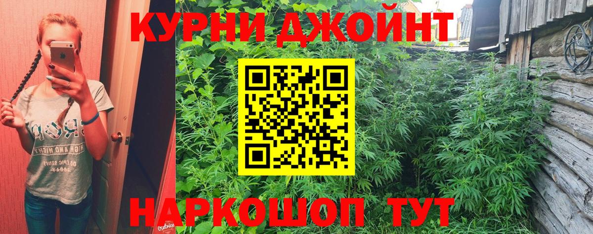 Бошки Шишки ГИДРОПОН  Канабис сатива  Вход с VPN  Пушкино  МАРИХУАНА MAZAR  Конопля Bruce Banner 